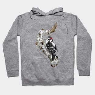 DOWO-Watercolor-Lg-noBG Hoodie